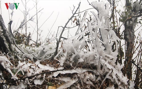 Vietnam to brace for early arrival of extremely cold spells